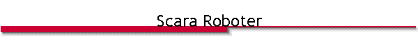 Scara Roboter